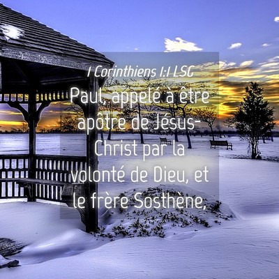 Picture 04 - 1 Corinthiens 1:1 LSG - Paul, appelé à être apôtre de Jésus-Christ - Bible Verse Picture