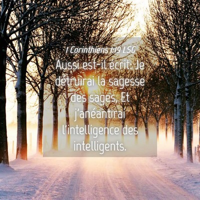 Picture 04 - 1 Corinthiens 1:19 LSG - Aussi est-il écrit: Je détruirai la sagesse des - Bible Verse Picture