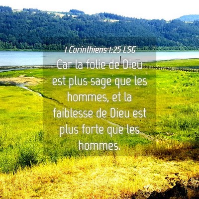 Picture 04 - 1 Corinthiens 1:25 LSG - Car la folie de Dieu est plus sage que les - Bible Verse Picture