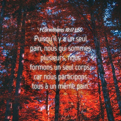 Picture 04 - 1 Corinthiens 10:17 LSG - Puisqu'il y a un seul pain, nous qui sommes - Bible Verse Picture