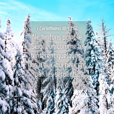 Picture 04 - 1 Corinthiens 10:9 LSG - Ne tentons point le Seigneur, comme le tentèrent - Bible Verse Picture