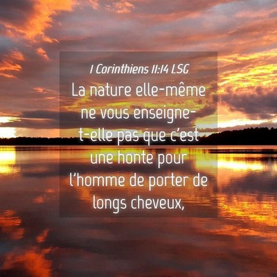 Picture 04 - 1 Corinthiens 11:14 LSG - La nature elle-même ne vous enseigne-t-elle pas - Bible Verse Picture