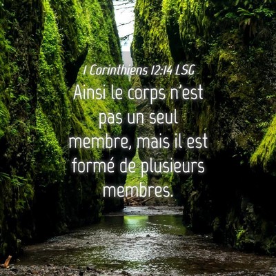 Picture 04 - 1 Corinthiens 12:14 LSG - Ainsi le corps n'est pas un seul membre, mais il - Bible Verse Picture