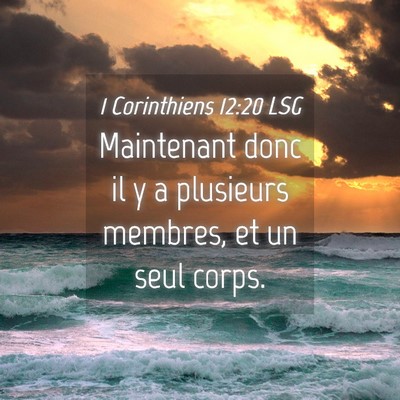 Picture 04 - 1 Corinthiens 12:20 LSG - Maintenant donc il y a plusieurs membres, et un - Bible Verse Picture
