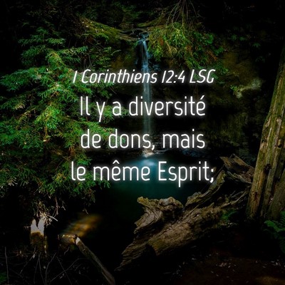 Picture 04 - 1 Corinthiens 12:4 LSG - Il y a diversité de dons, mais le même - Bible Verse Picture