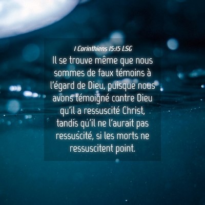Picture 04 - 1 Corinthiens 15:15 LSG - Il se trouve même que nous sommes de faux - Bible Verse Picture