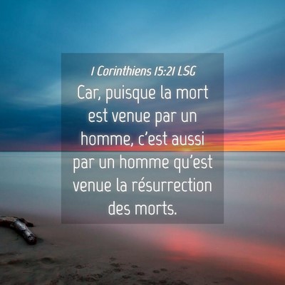 Picture 04 - 1 Corinthiens 15:21 LSG - Car, puisque la mort est venue par un homme, - Bible Verse Picture