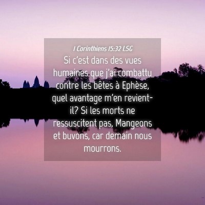 Picture 04 - 1 Corinthiens 15:32 LSG - Si c'est dans des vues humaines que j'ai combattu - Bible Verse Picture
