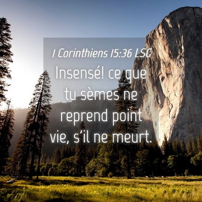 Picture 04 - 1 Corinthiens 15:36 LSG - Insensé! ce que tu sèmes ne reprend point vie, - Bible Verse Picture