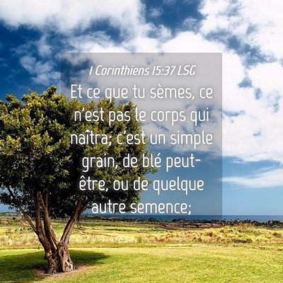 Picture 04 - 1 Corinthiens 15:37 LSG - Et ce que tu sèmes, ce n'est pas le corps qui - Bible Verse Picture