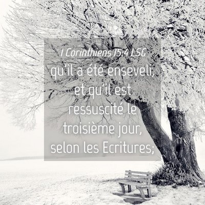 Picture 04 - 1 Corinthiens 15:4 LSG - qu'il a été enseveli, et qu'il est ressuscité - Bible Verse Picture