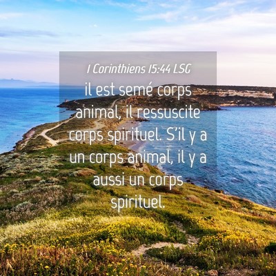 Picture 04 - 1 Corinthiens 15:44 LSG - il est semé corps animal, il ressuscite corps - Bible Verse Picture