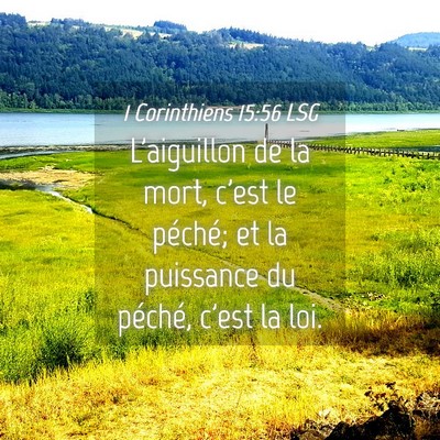 Picture 04 - 1 Corinthiens 15:56 LSG - L'aiguillon de la mort, c'est le péché; et la - Bible Verse Picture