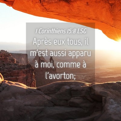 Picture 04 - 1 Corinthiens 15:8 LSG - Après eux tous, il m'est aussi apparu à moi, - Bible Verse Picture