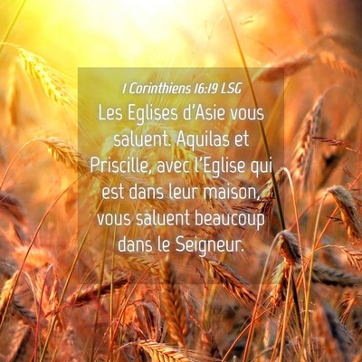 Picture 04 - 1 Corinthiens 16:19 LSG - Les Eglises d'Asie vous saluent. Aquilas et - Bible Verse Picture