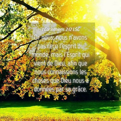 Picture 04 - 1 Corinthiens 2:12 LSG - Or nous, nous n'avons pas reçu l'esprit du - Bible Verse Picture