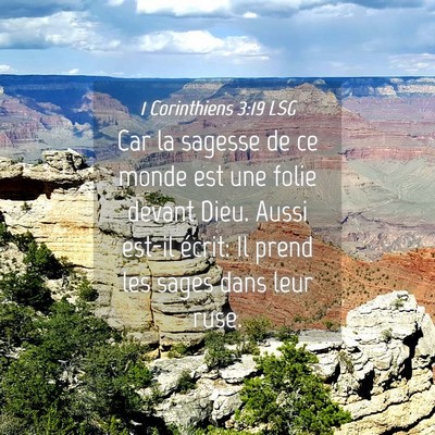 Picture 04 - 1 Corinthiens 3:19 LSG - Car la sagesse de ce monde est une folie devant - Bible Verse Picture