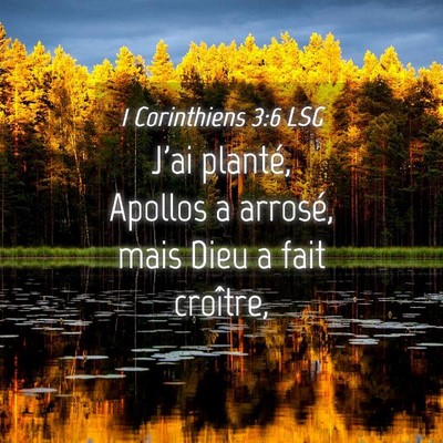 Picture 04 - 1 Corinthiens 3:6 LSG - J'ai planté, Apollos a arrosé, mais Dieu a fait - Bible Verse Picture