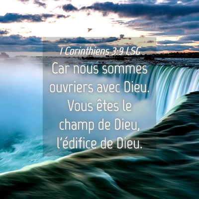 Picture 04 - 1 Corinthiens 3:9 LSG - Car nous sommes ouvriers avec Dieu. Vous êtes le - Bible Verse Picture