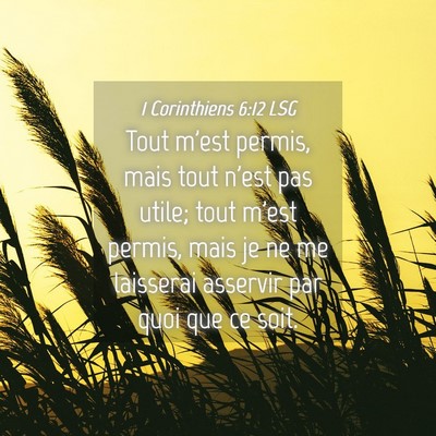 Picture 04 - 1 Corinthiens 6:12 LSG - Tout m'est permis, mais tout n'est pas utile; - Bible Verse Picture