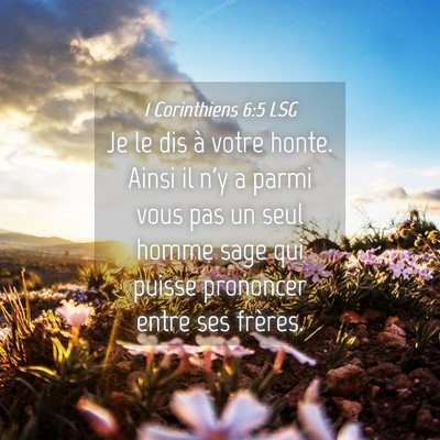 Picture 04 - 1 Corinthiens 6:5 LSG - Je le dis à votre honte. Ainsi il n'y a parmi - Bible Verse Picture