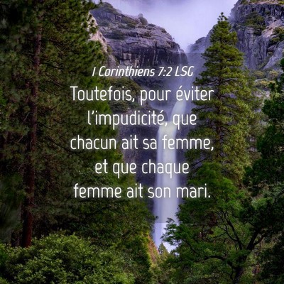 Picture 04 - 1 Corinthiens 7:2 LSG - Toutefois, pour éviter l'impudicité, que chacun - Bible Verse Picture