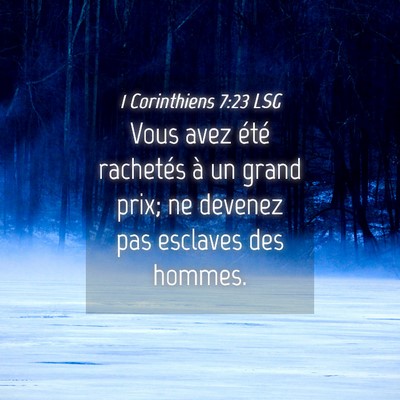 Picture 04 - 1 Corinthiens 7:23 LSG - Vous avez été rachetés à un grand prix; ne - Bible Verse Picture