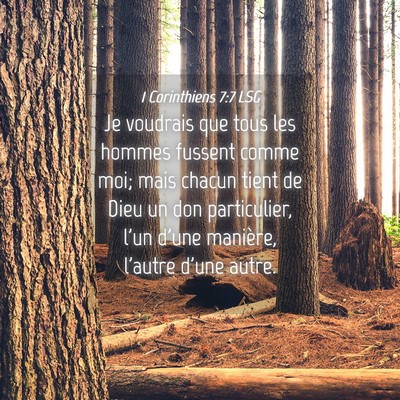Picture 04 - 1 Corinthiens 7:7 LSG - Je voudrais que tous les hommes fussent comme - Bible Verse Picture