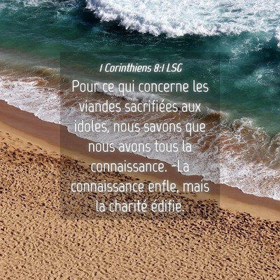 Picture 04 - 1 Corinthiens 8:1 LSG - Pour ce qui concerne les viandes sacrifiées aux - Bible Verse Picture