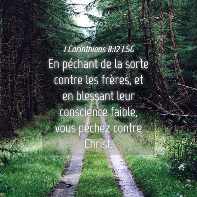 Picture 04 - 1 Corinthiens 8:12 LSG - En péchant de la sorte contre les frères, et en - Bible Verse Picture