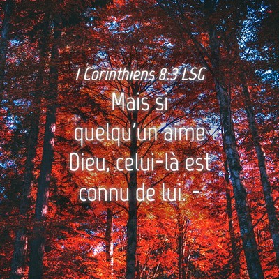 Picture 04 - 1 Corinthiens 8:3 LSG - Mais si quelqu'un aime Dieu, celui-là est connu - Bible Verse Picture