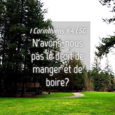 Picture 04 - 1 Corinthiens 9:4 LSG - N'avons-nous pas le droit de manger et de - Bible Verse Picture