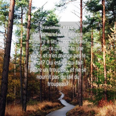 Picture 04 - 1 Corinthiens 9:7 LSG - Qui jamais fait le service militaire à ses - Bible Verse Picture