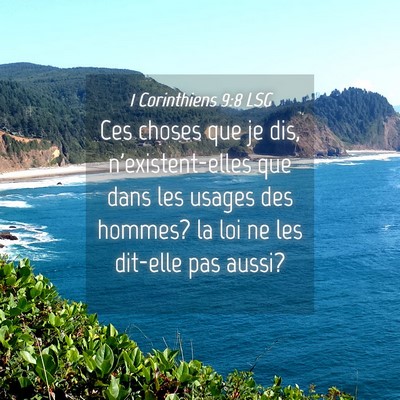 Picture 04 - 1 Corinthiens 9:8 LSG - Ces choses que je dis, n'existent-elles que dans - Bible Verse Picture