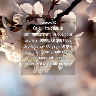 Picture 04 - 1 Jean 1:1 LSG - Ce qui était dès le commencement, ce que nous - Bible Verse Picture