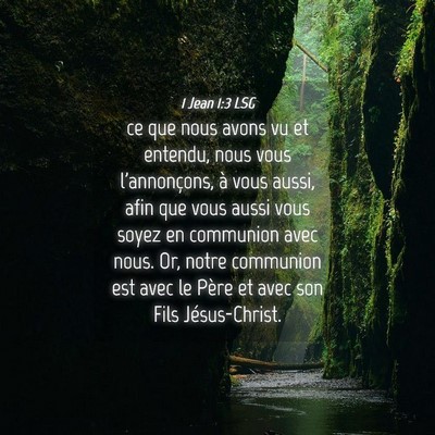 Picture 04 - 1 Jean 1:3 LSG - ce que nous avons vu et entendu, nous vous - Bible Verse Picture