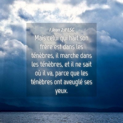 Picture 04 - 1 Jean 2:11 LSG - Mais celui qui hait son frère est dans les - Bible Verse Picture