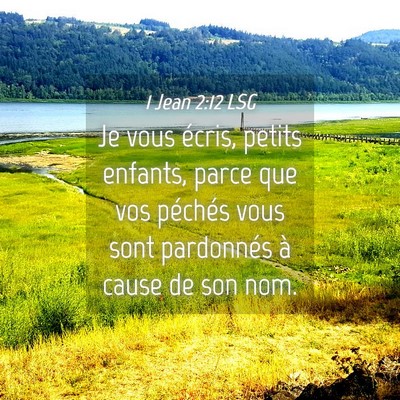Picture 04 - 1 Jean 2:12 LSG - Je vous écris, petits enfants, parce que vos - Bible Verse Picture