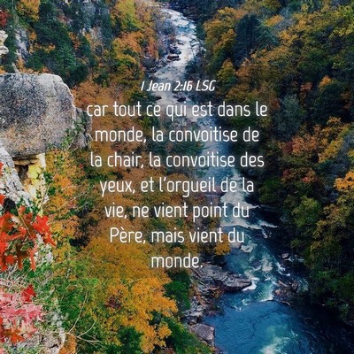 Picture 04 - 1 Jean 2:16 LSG - car tout ce qui est dans le monde, la convoitise - Bible Verse Picture