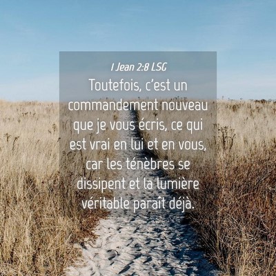 Picture 04 - 1 Jean 2:8 LSG - Toutefois, c'est un commandement nouveau que je - Bible Verse Picture