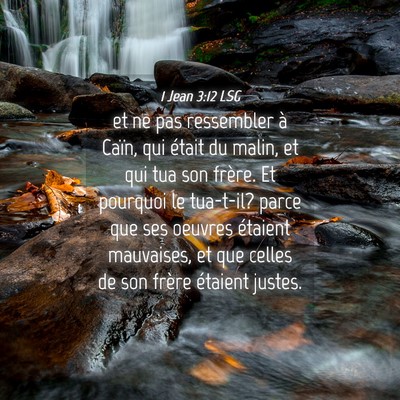 Picture 04 - 1 Jean 3:12 LSG - et ne pas ressembler à Caïn, qui était du - Bible Verse Picture