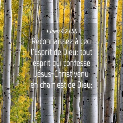 Picture 04 - 1 Jean 4:2 LSG - Reconnaissez à ceci l'Esprit de Dieu: tout - Bible Verse Picture