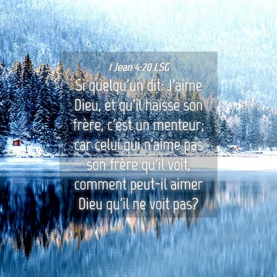 Picture 04 - 1 Jean 4:20 LSG - Si quelqu'un dit: J'aime Dieu, et qu'il haïsse - Bible Verse Picture