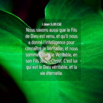 Picture 04 - 1 Jean 5:20 LSG - Nous savons aussi que le Fils de Dieu est venu, - Bible Verse Picture
