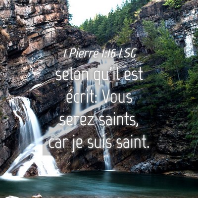 Picture 04 - 1 Pierre 1:16 LSG - selon qu'il est écrit: Vous serez saints, car je - Bible Verse Picture