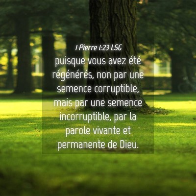 Picture 04 - 1 Pierre 1:23 LSG - puisque vous avez été régénérés, non par - Bible Verse Picture