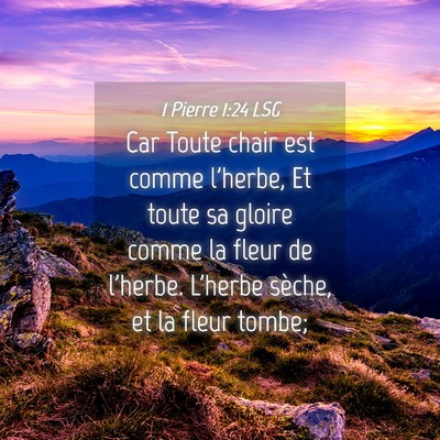 Picture 04 - 1 Pierre 1:24 LSG - Car Toute chair est comme l'herbe, Et toute sa - Bible Verse Picture