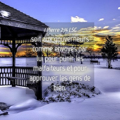 Picture 04 - 1 Pierre 2:14 LSG - soit aux gouverneurs comme envoyés par lui pour - Bible Verse Picture