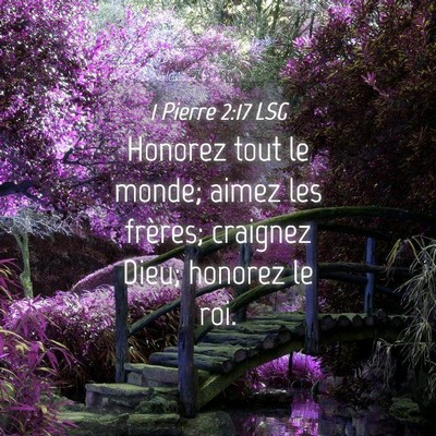 Picture 04 - 1 Pierre 2:17 LSG - Honorez tout le monde; aimez les frères; - Bible Verse Picture