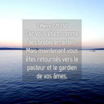 Picture 04 - 1 Pierre 2:25 LSG - Car vous étiez comme des brebis errantes. Mais - Bible Verse Picture